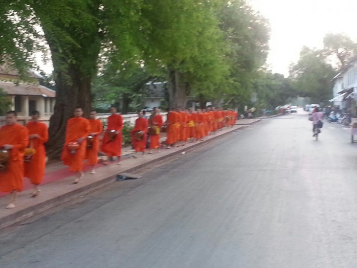 956e247e18fd0cbe2201a0c954d0cb85_1768373